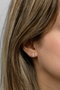 Heliophilia Silver Pendientes de Plata de Ley 925 con Oro Rosa y Circón